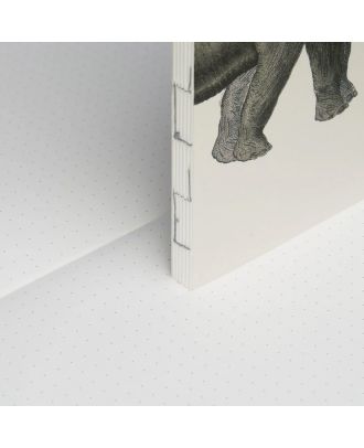 Paper Republic Buch XL Nachfüllpackung The Dybdahl Co Tiere gepunktet