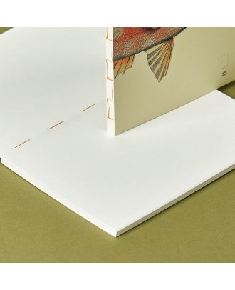 Paper Republic Buch XL Nachfüllpackung The Dybdahl Co Reef Blanco