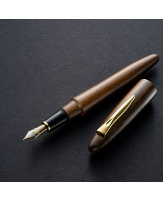 Platinum Izumo Pluma estilográfica mate Tagayasan