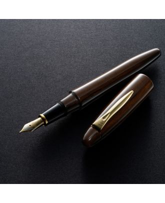 Platinum Izumo Pluma estilográfica Tagayasan Gloss