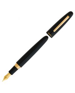 Esterbrook Estie Pluma estilográfica de gran tamaño con detalles en oro y ébano