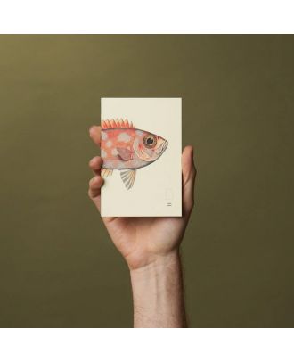 Paper Republic Book Pocket Refill The Dybdahl Co Reef Blanco