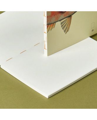 Paper Republic Book Pocket Refill The Dybdahl Co Reef Blanco