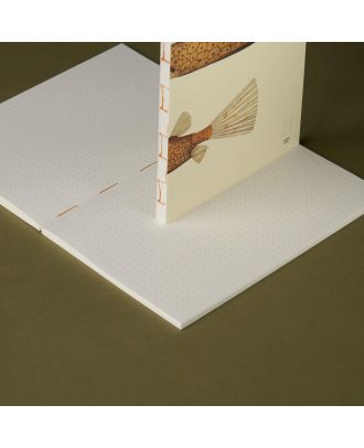 Paper Republic Book Pocket Refill The Dybdahl Co Reef Dotted