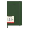 Moleskine Large Diary 2027 Daily Planner Myrtle Green Hard Cover