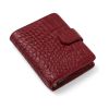 Filofax Classic Pocket Croc Cherry