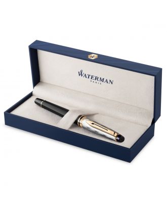 Waterman Expert Reflection of Paris Deluxe Fountain Pen