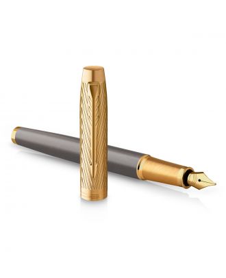 Parker IM Pioneers Collection Arrow Fountain Pen