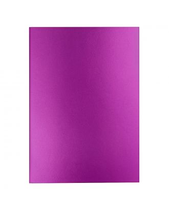 Caran d'Ache Colormat-X Notebook Violet