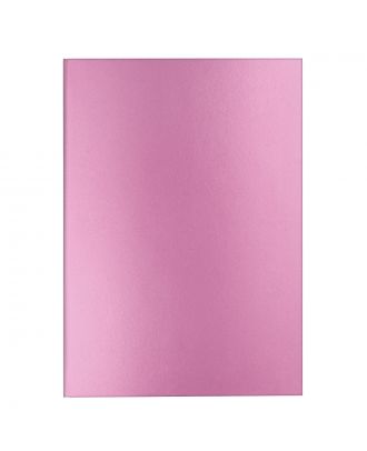 Caran d'Ache Colormat-X Notebook Pink