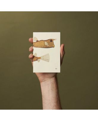 Paper Republic Book XL Refill The Dybdahl Co Reef Plain