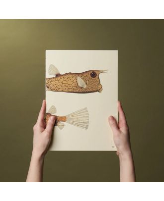Paper Republic Book XL Refill The Dybdahl Co Reef Plain