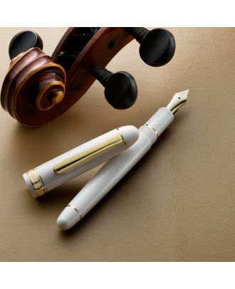 Platinum #3776 Century White Gold Trim Fountain Pen