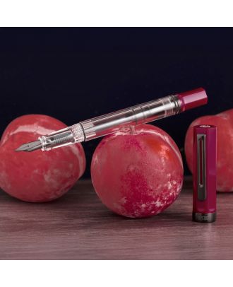 TWSBI Eco Plum with Onyx Fountain Pen