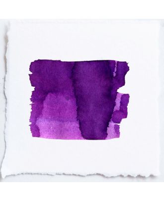 Tom's Studio Fountain Pen Ink 11 Iris - 50ml