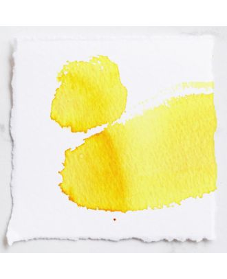 Tom's Studio Fountain Pen Ink 19 Lemon Yellow - 50ml