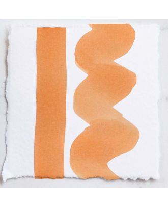 Tom's Studio Fountain Pen Ink 18 Marmalade - 50ml