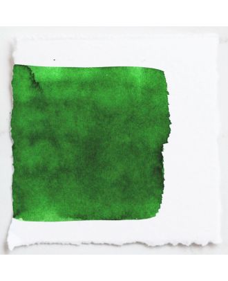Tom's Studio Fountain Pen Ink 04 New Forest Green - 50ml