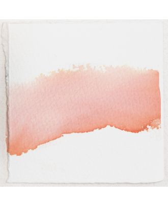 Tom's Studio Fountain Pen Ink 20 Peaches & Cream - 50ml
