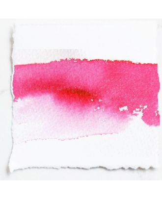 Tom's Studio Fountain Pen Ink 15 Rambling Rose - 50ml