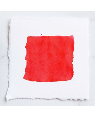 Tom's Studio Fountain Pen Ink 06 Strawberry Jam - 50ml