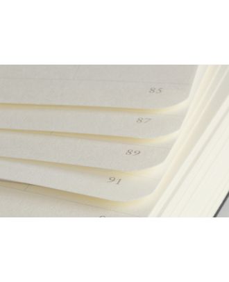 Leuchtturm1917 Notebook Pocket Forest Green Plain