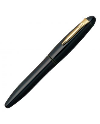 Platinum Izumo Tamenuri Soratame Fountain Pen