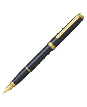 Platinum Biso Nebula Black Fountain Pen