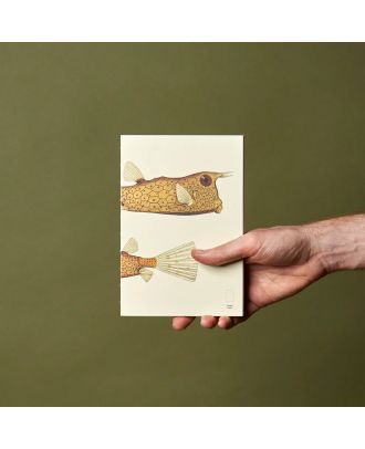 Paper Republic Book XL Refill The Dybdahl Co Reef Dotted