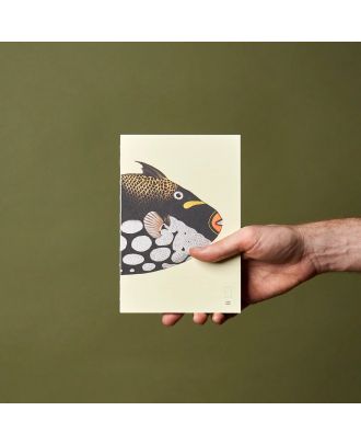 Paper Republic Book XL Refill The Dybdahl Co Reef Ruled