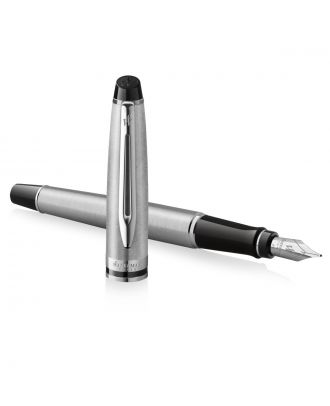 Waterman Expert Stainless Steel CT Vulpen