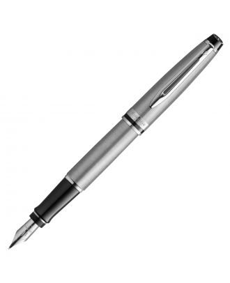 Waterman Expert Stainless Steel CT Vulpen
