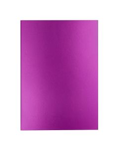Caran d'Ache Colormat-X Notebook Violet