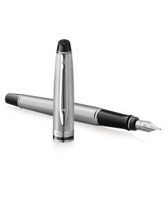 Waterman Expert Stainless Steel CT Fountain Pen