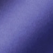 Pilot Capless Stainless Steel Purple Fountain Pen