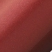 Platinum Biso Flame Red Fountain Pen